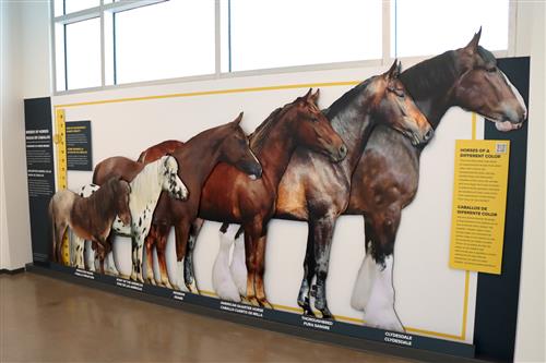  Gifted educators toured the CSP Spur campus on Oct. 30